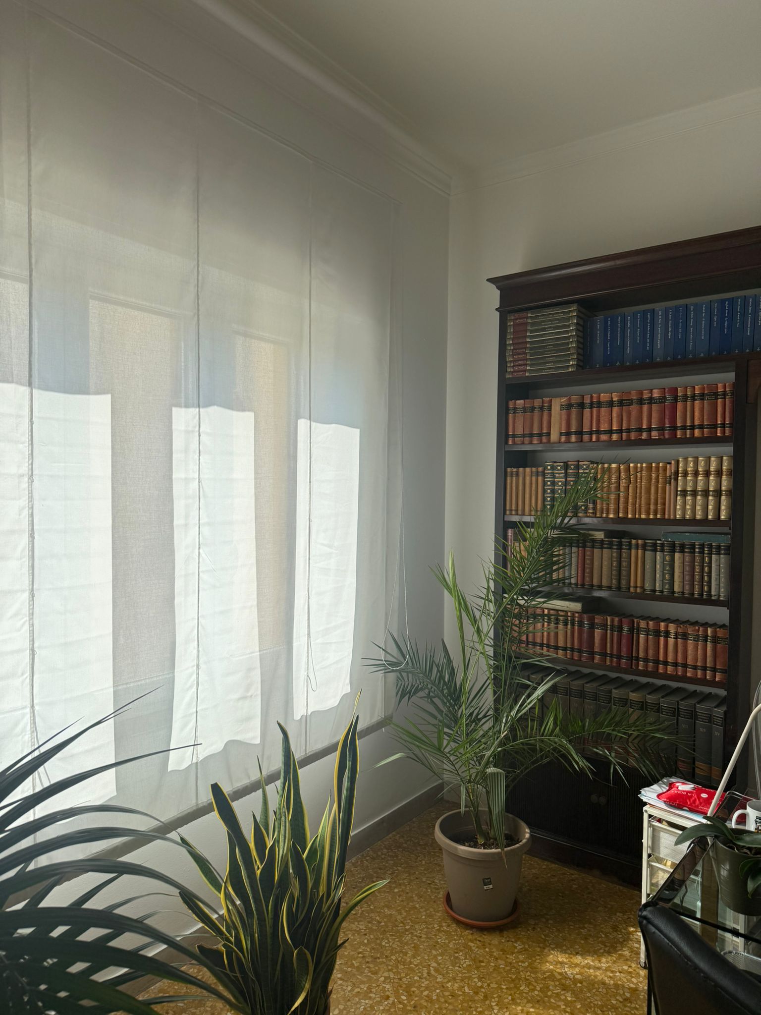 Studio Legale Fallica - interno ufficio 1